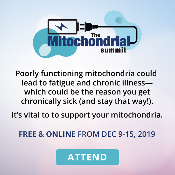 The Mitochondrial Summit