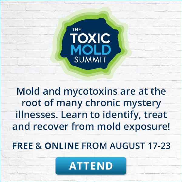 Toxic Mold Summit