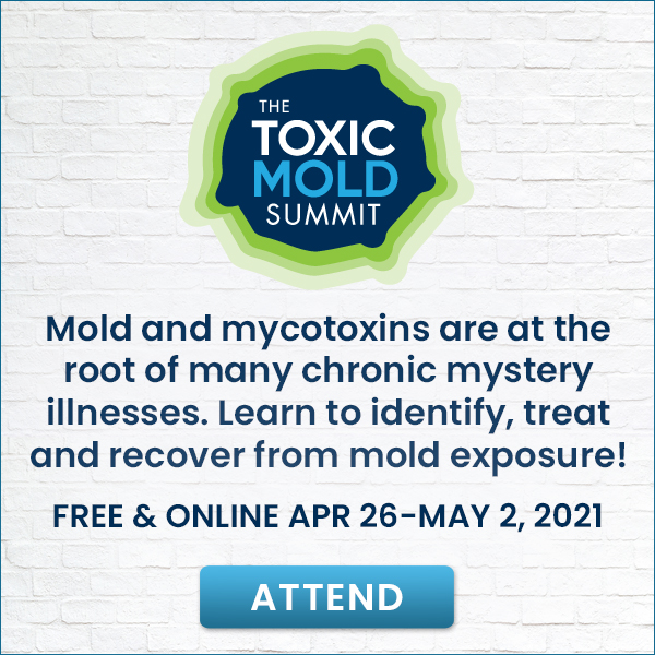 Toxic Mold Summit 2021