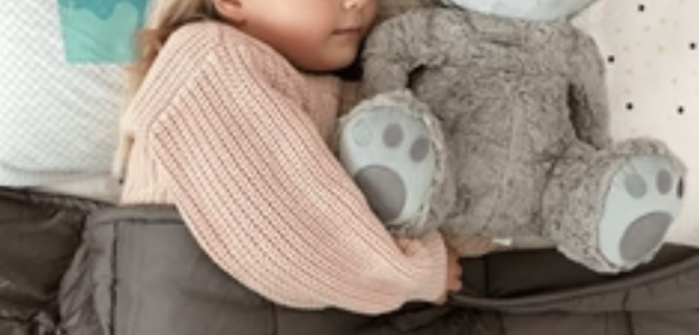 Photo of a girl sleeping with her blanket and stuff toy