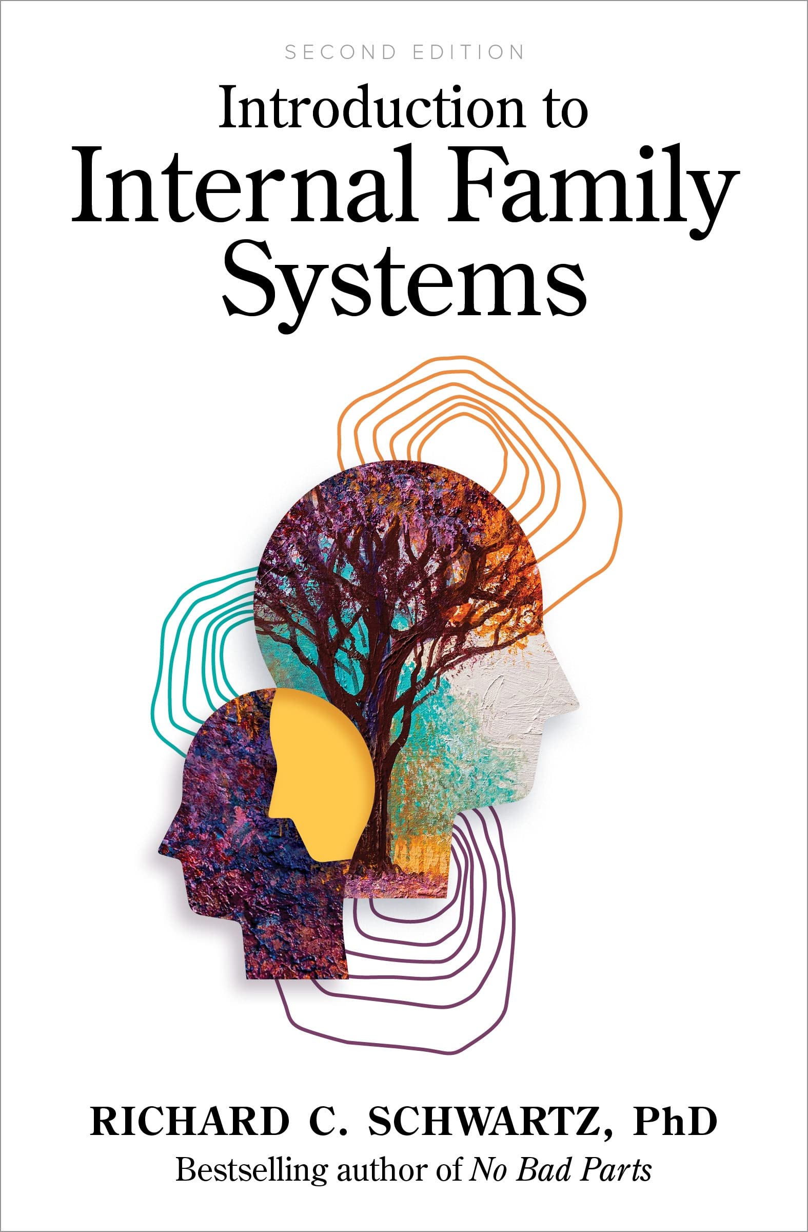 Introduction to Internal Family Systems by: Richard C. Schwartz
