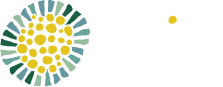 The Brainy Bunch The Brainy Bunch
